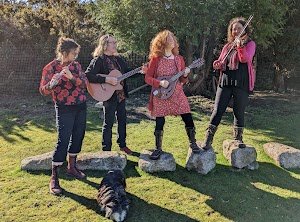 Home The Rosevilles Ceilidh Band place picture